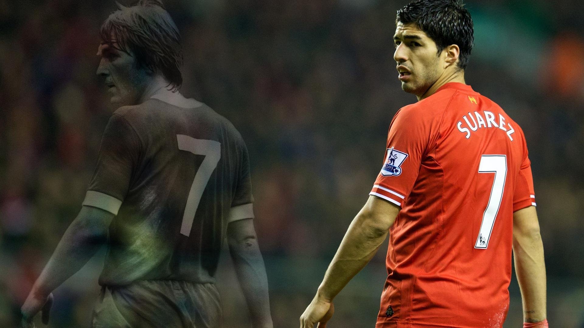 荷兰马术协会与非洲马术协会开展技术援助项目，提升当地水平。